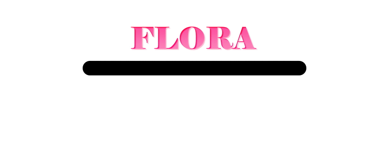 74362a3908dd87507e7a2189fd67d979_1702989742_6586.gif