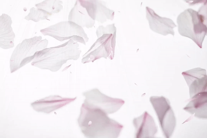 a6892b24bb2dc1e08eb490fc8bd320f1_1702364288_179.gif