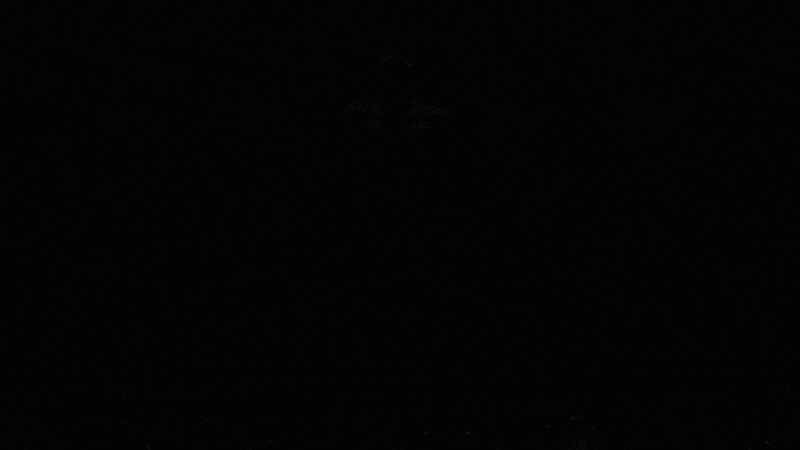 b384857c7740e9b15fc895a00ae2179d_1703309338_8873.gif