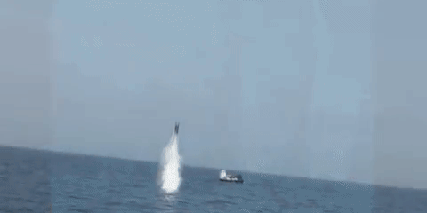 dd1d4b77c5fa0dbac6181180a5081c1c_1734093218_0188.gif